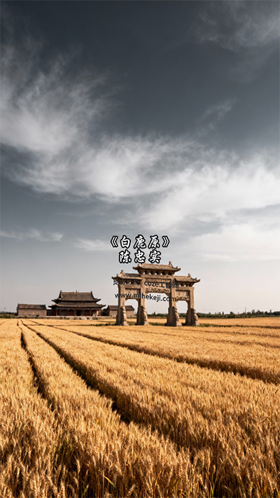 S17_米核ai精品视频工作流_炫酷书单3 竖版-觅合可及  Coze工作流分享 智能体 提示词 一件生成视频图片程序案例