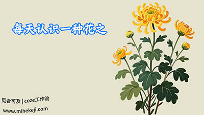 S33_米核ai精品视频工作流_每天认识一朵花-觅合可及  Coze工作流分享 智能体 提示词 一件生成视频图片程序案例