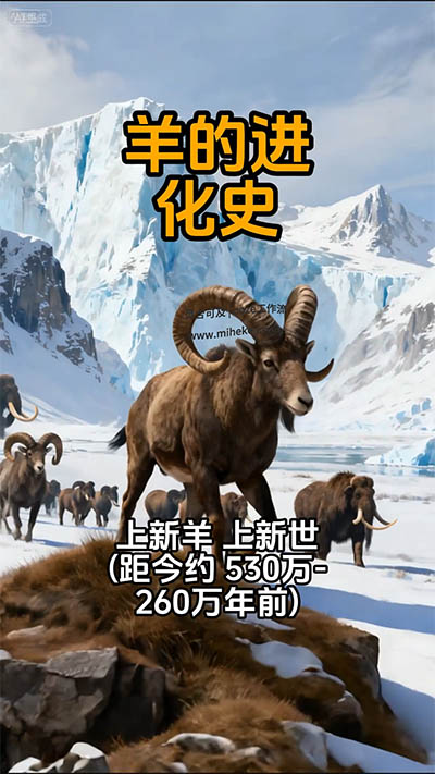 S57_米核ai精品视频工作流_动物进化史-觅合可及  Coze工作流分享 智能体 提示词 一件生成视频图片程序案例